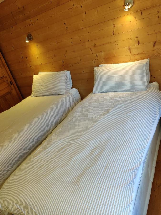 Spacious Ski Chalet In Traditional French Village, Sleeps 8, Four Star With Fibre Broadband อาบงดองซ์ ภายนอก รูปภาพ